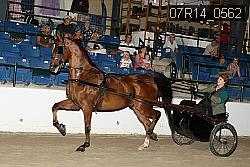 07R14_0562 proof