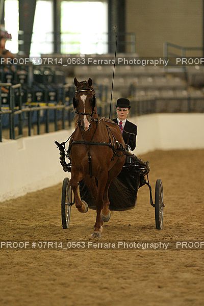 Proof 07R14_0563