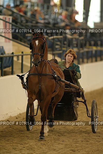 Proof 07R14_0564