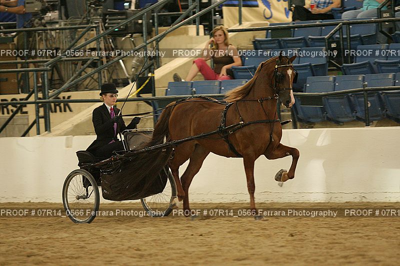 Proof 07R14_0566