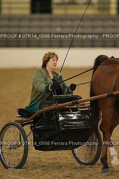 Proof 07R14_0568