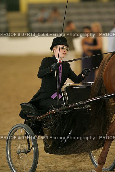 Proof 07R14_0569