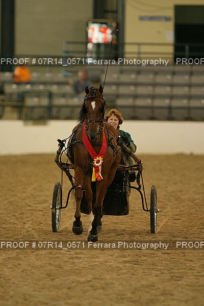 Proof 07R14_0571