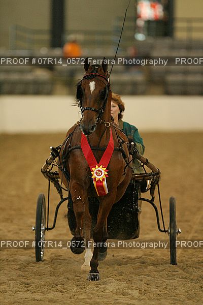 Proof 07R14_0572