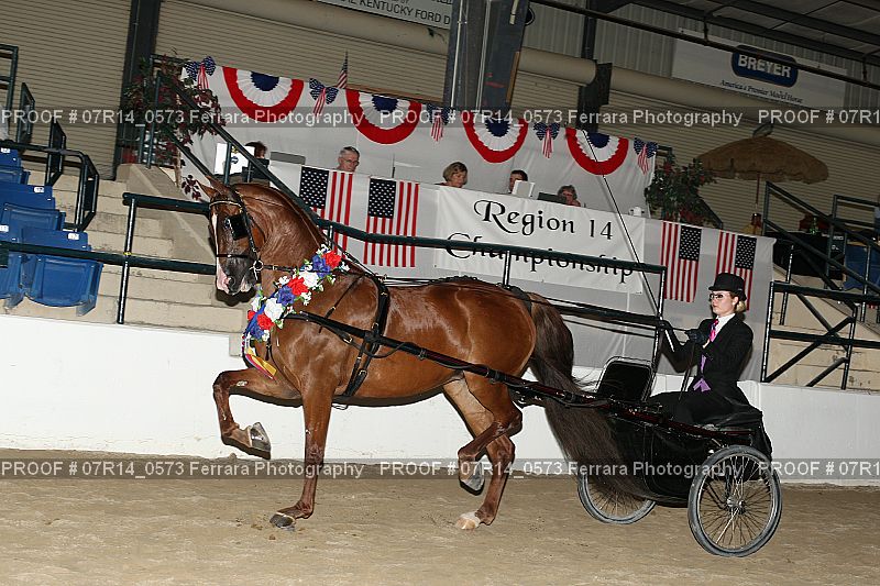 Proof 07R14_0573
