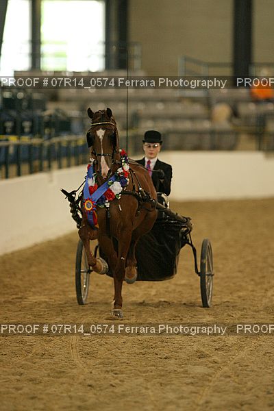 Proof 07R14_0574