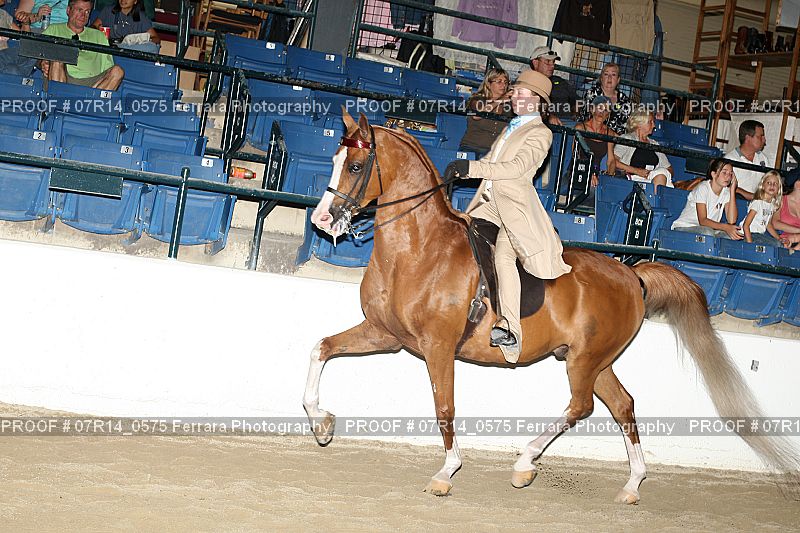 Proof 07R14_0575