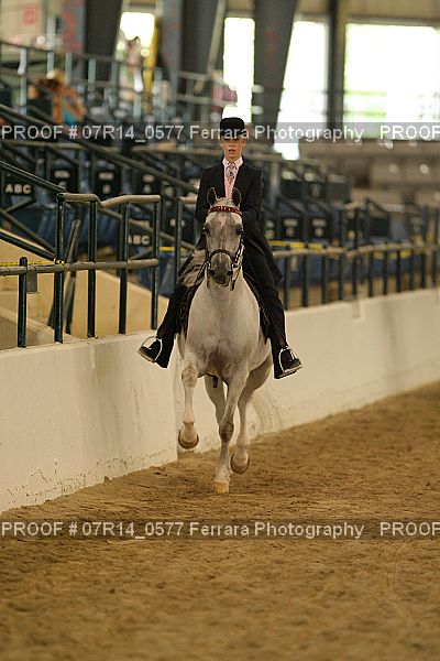 Proof 07R14_0577