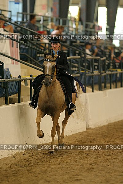 Proof 07R14_0582