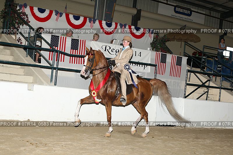 Proof 07R14_0583