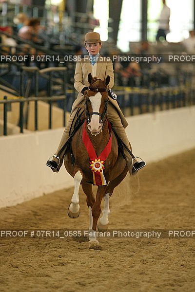 Proof 07R14_0585
