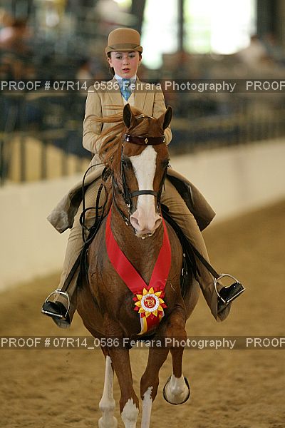 Proof 07R14_0586
