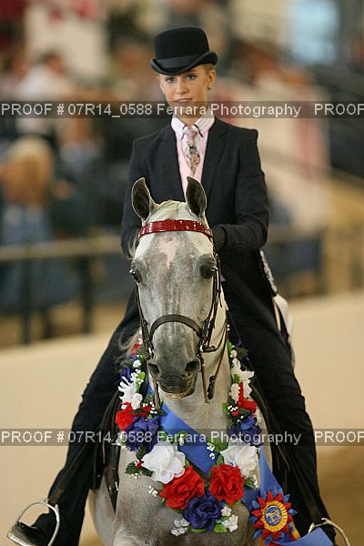Proof 07R14_0588