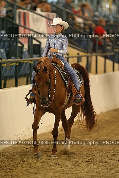 Proof 07R14_0595