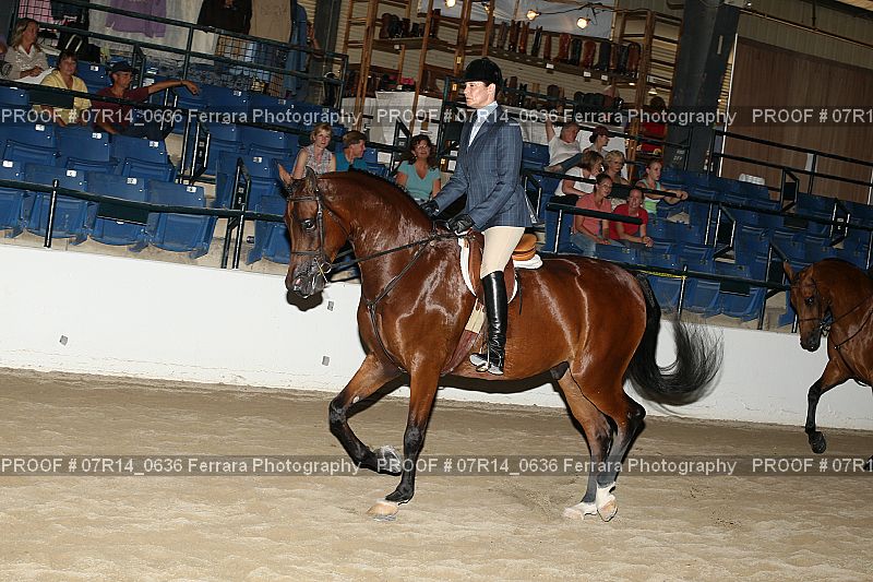 Proof 07R14_0636
