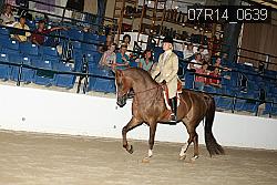 07R14_0639 proof