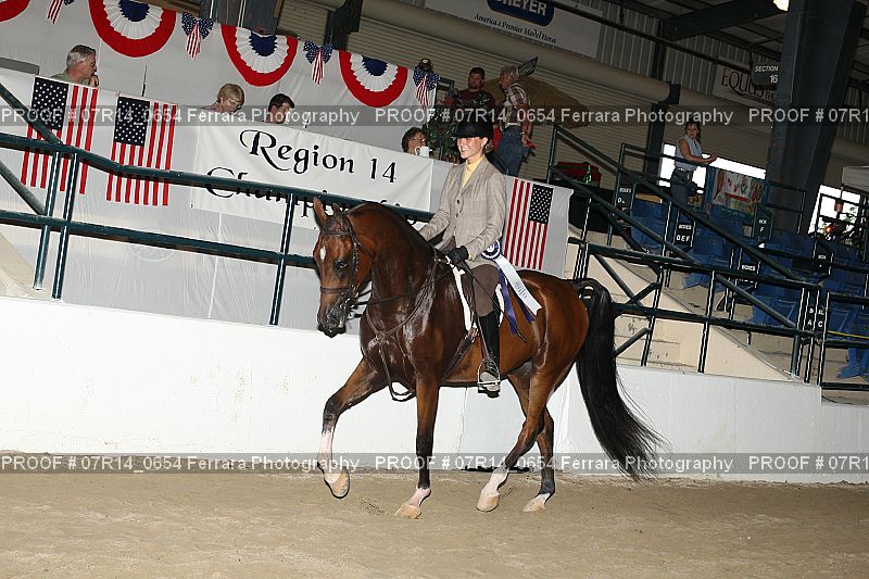 Proof 07R14_0654