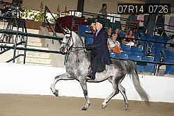 07R14_0726 proof