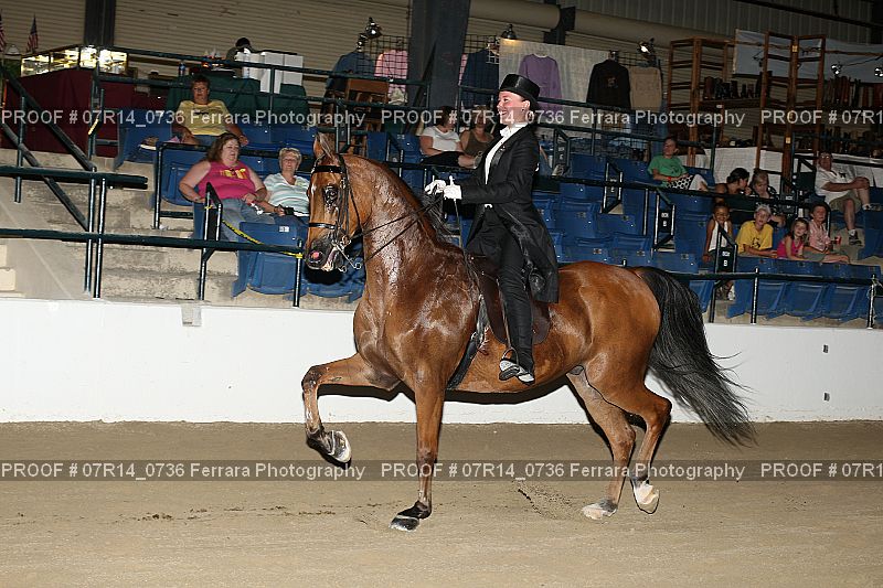 Proof 07R14_0736