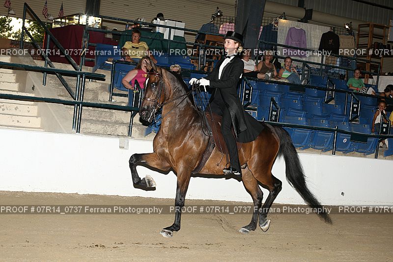 Proof 07R14_0737