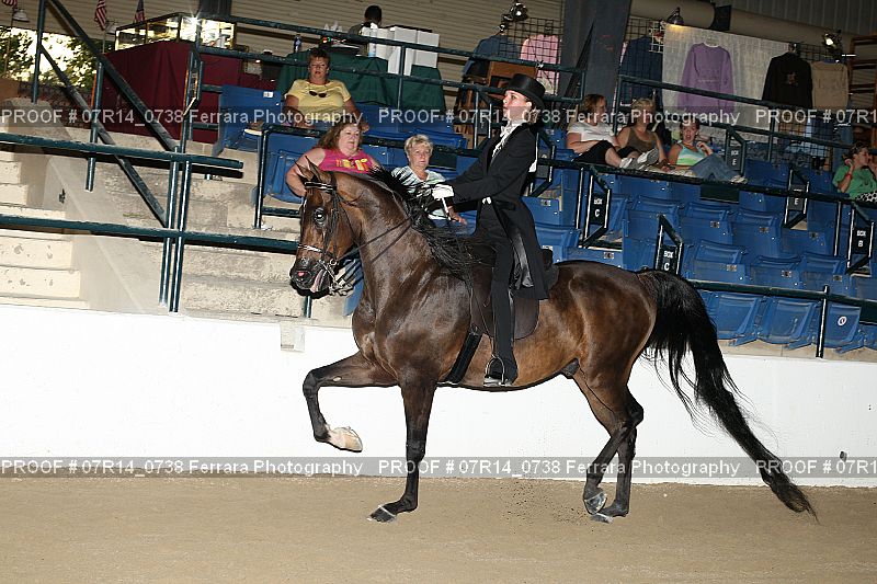 Proof 07R14_0738