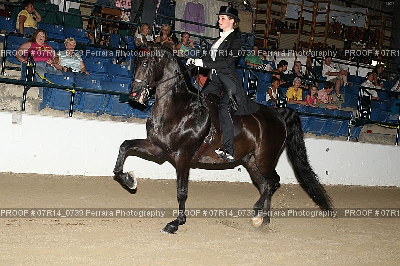 Proof 07R14_0739