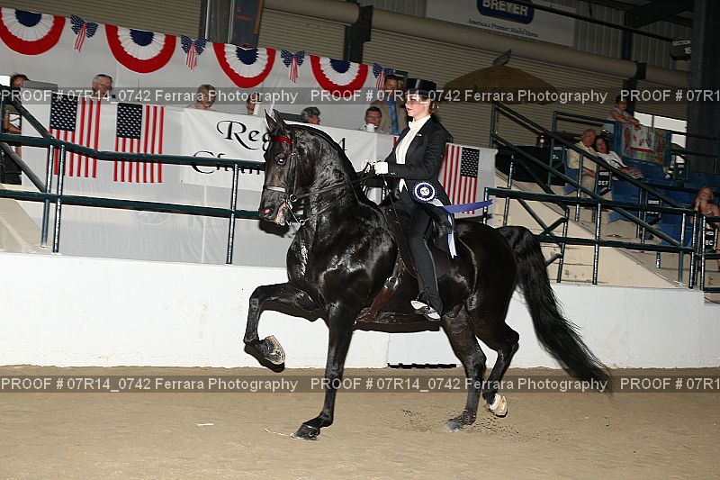 Proof 07R14_0742