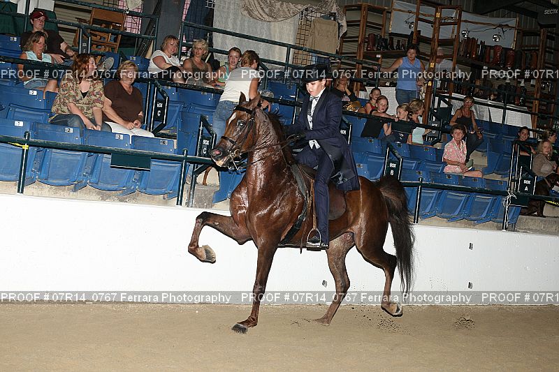 Proof 07R14_0767