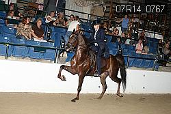 07R14_0767 proof