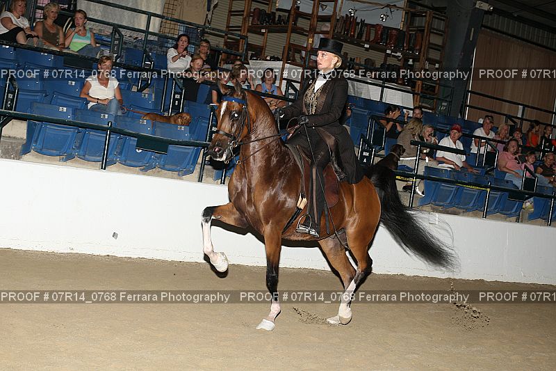 Proof 07R14_0768