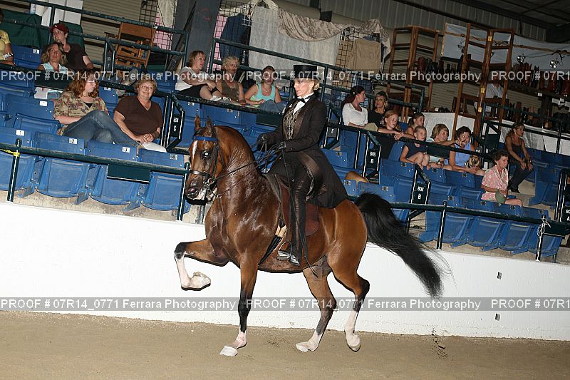Proof 07R14_0771