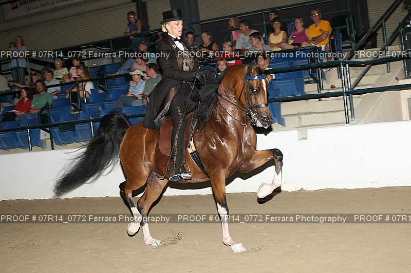 Proof 07R14_0772
