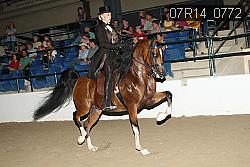 07R14_0772 proof