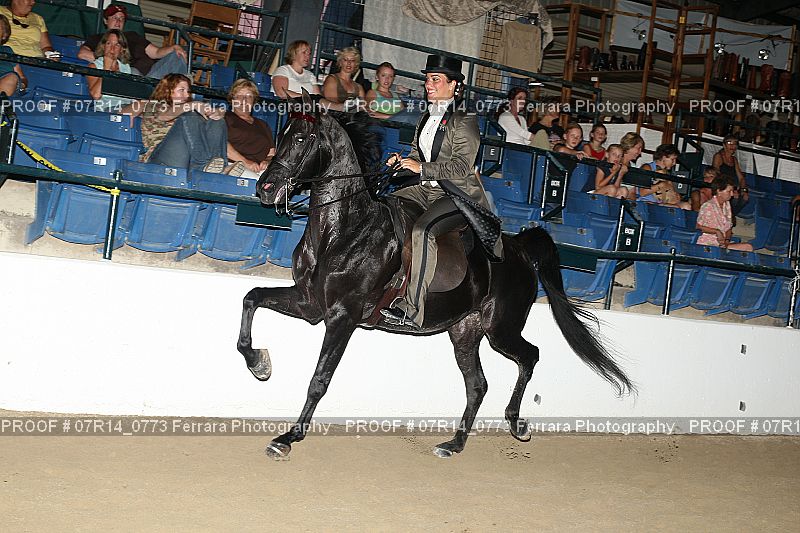 Proof 07R14_0773