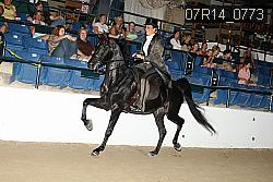 07R14_0773 proof