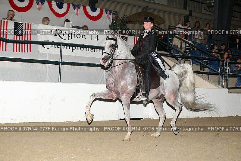 Proof 07R14_0775