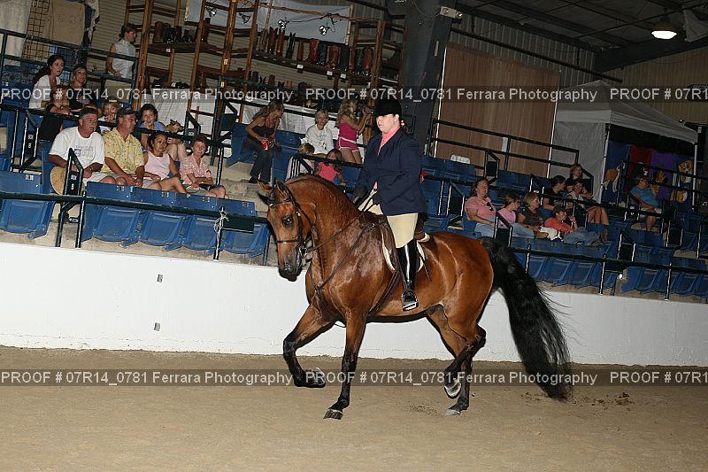 Proof 07R14_0781