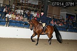 07R14_0781 proof
