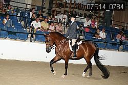 07R14_0784 proof