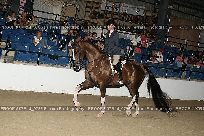Proof 07R14_0786