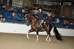 07R14_0786 proof