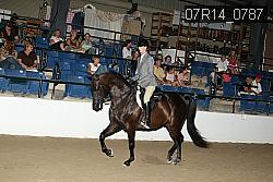 07R14_0787 proof