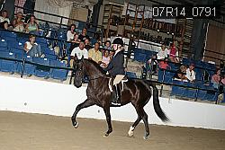 07R14_0791 proof