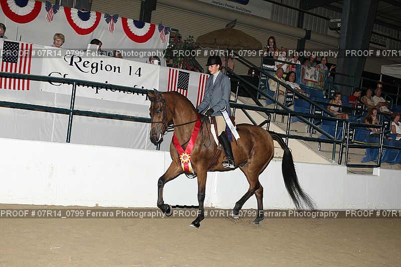 Proof 07R14_0799