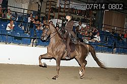 07R14_0802 proof