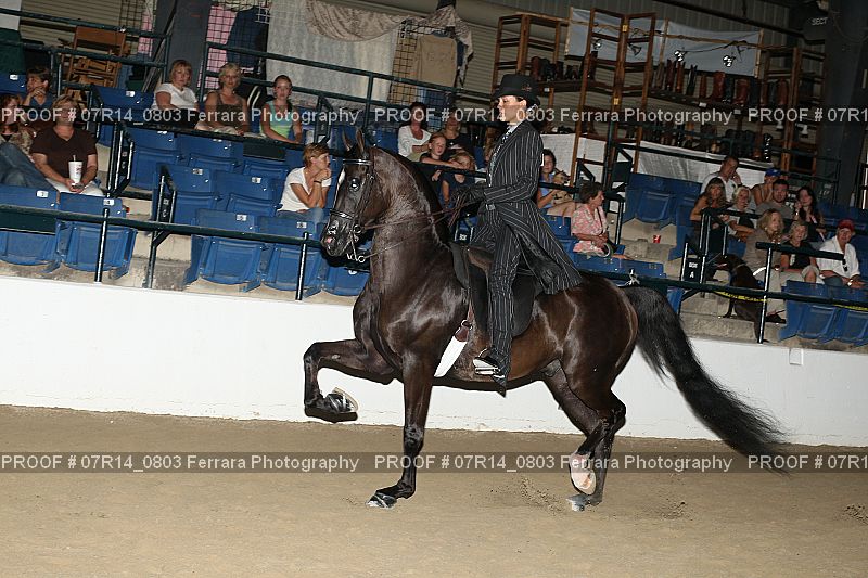 Proof 07R14_0803