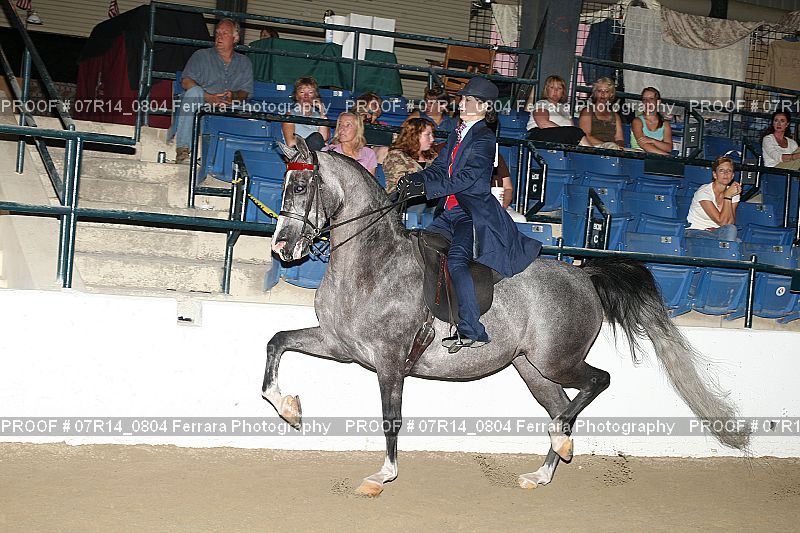 Proof 07R14_0804