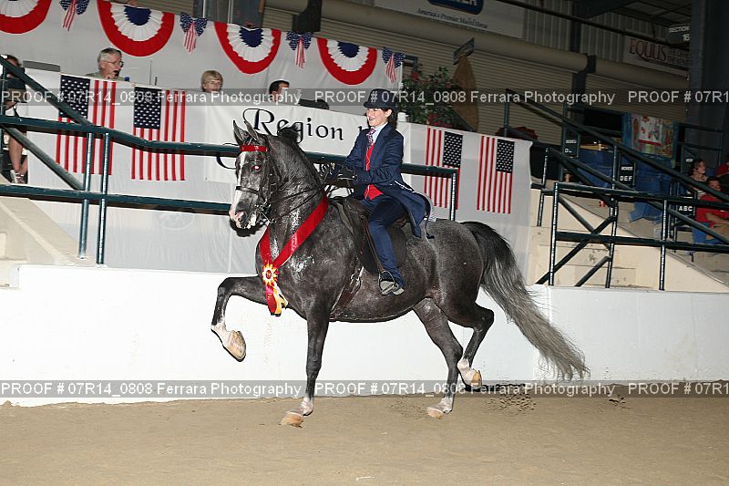Proof 07R14_0808