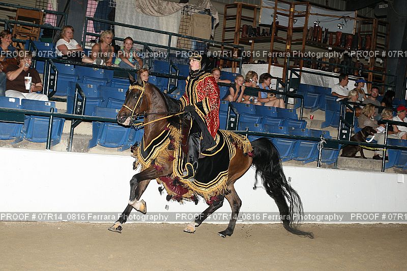 Proof 07R14_0816