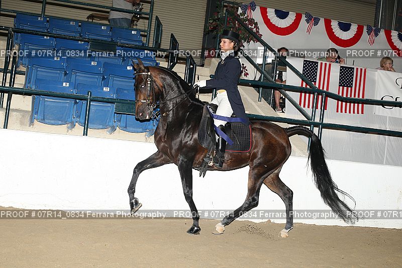 Proof 07R14_0834